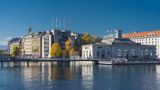 demenagement-geneve